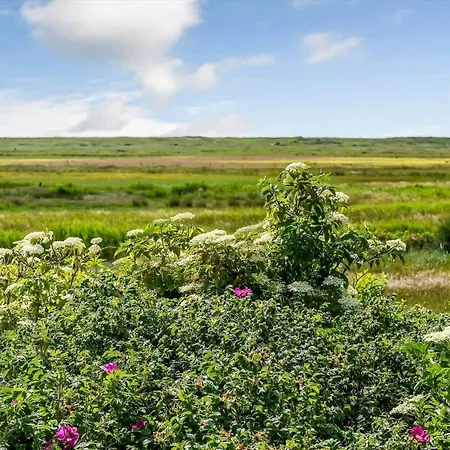 Дом отдыха Bv322-blavand-gronningen-10 *