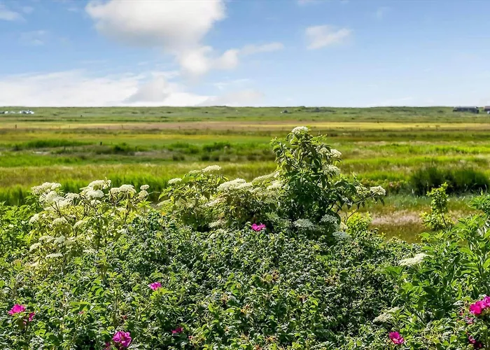 Vakantiehuis Bv322-blavand-gronningen-10 *