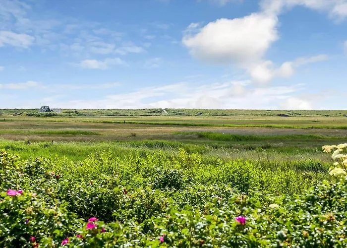 Bv322-blavand-gronningen-10 * Blavand